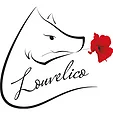Louvelico